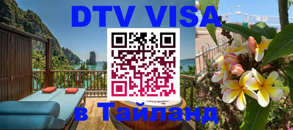 Сколько стоит DTV виза — актуальные цены, оформление даже без документов - 18.11.2025 